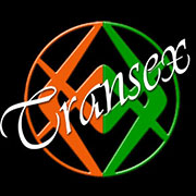 www.transexfirenze.it